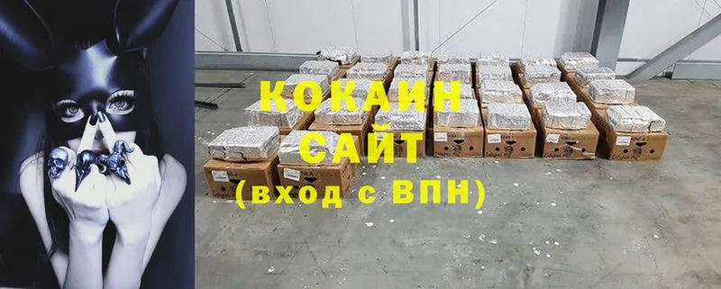 продажа наркотиков  Камышин  КОКАИН FishScale 