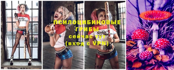 дживик Покров