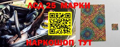 шишки Гай