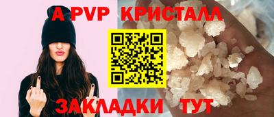 шишки Гай