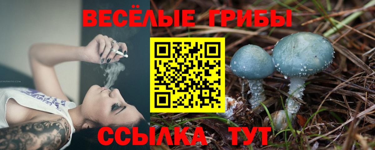 Камышин  Галлюциногенные грибы прущие грибы  купить  сайты  Галлюциногенные грибы Cubensis  Вход с VPN 