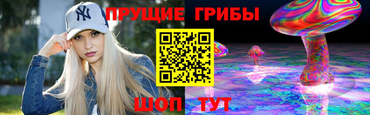 купить закладку  Камышин  Псилоцибиновые грибы MAGIC MUSHROOMS 
